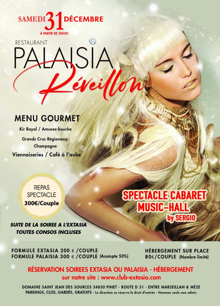 reveillonpalaisia copie 2